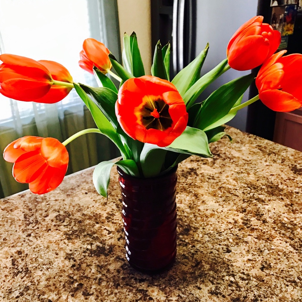 Meet your Posher, Erica